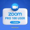 Zoom Pro 100