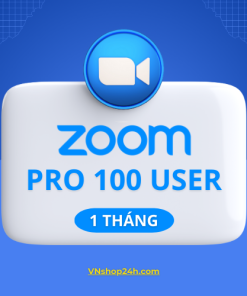 Zoom Pro 100